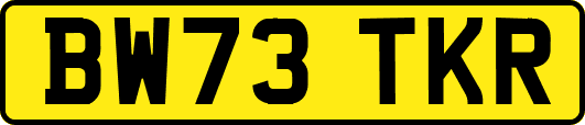 BW73TKR