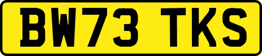 BW73TKS