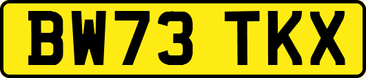 BW73TKX