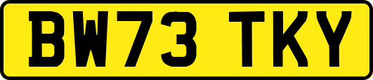 BW73TKY