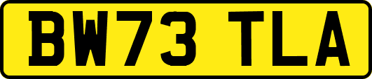 BW73TLA