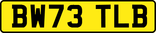 BW73TLB