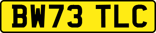 BW73TLC
