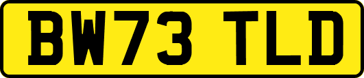 BW73TLD