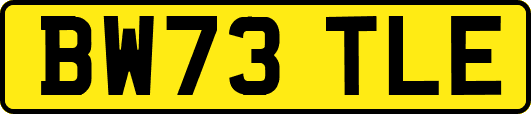 BW73TLE
