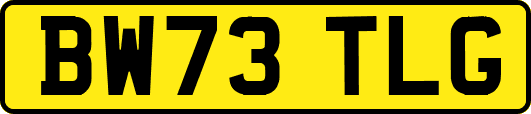 BW73TLG