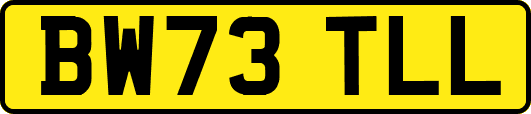 BW73TLL