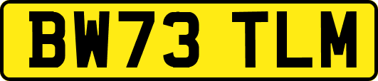 BW73TLM