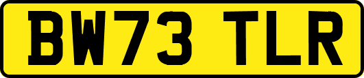 BW73TLR