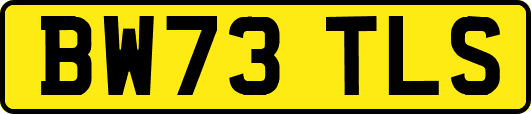 BW73TLS