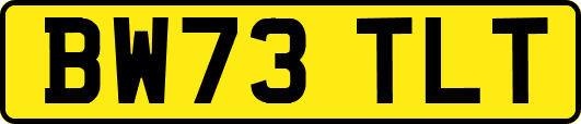 BW73TLT