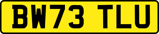 BW73TLU
