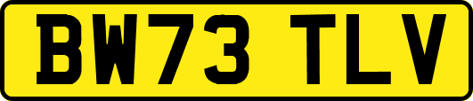BW73TLV