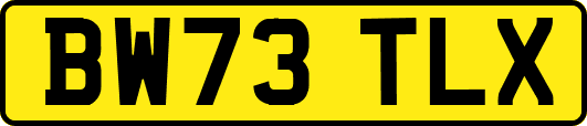 BW73TLX