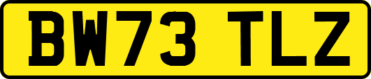 BW73TLZ