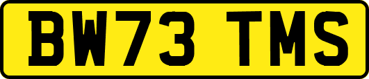 BW73TMS