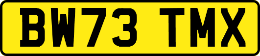 BW73TMX