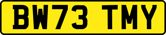 BW73TMY