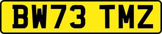 BW73TMZ