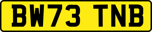 BW73TNB