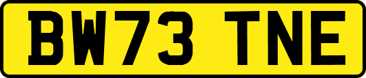 BW73TNE