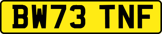 BW73TNF