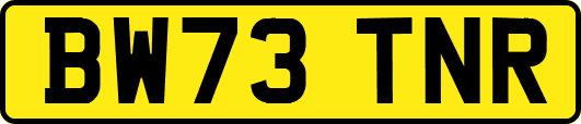 BW73TNR