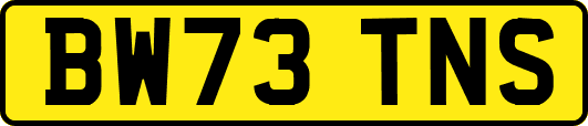 BW73TNS