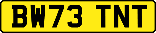 BW73TNT