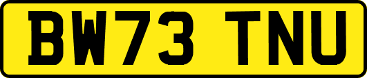 BW73TNU