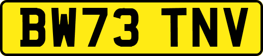 BW73TNV