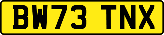 BW73TNX