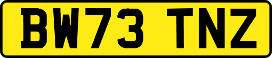 BW73TNZ