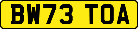 BW73TOA