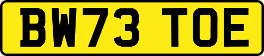 BW73TOE