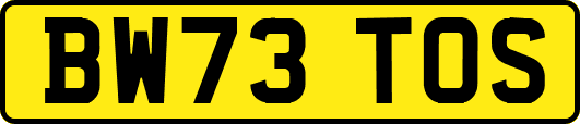 BW73TOS