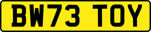 BW73TOY