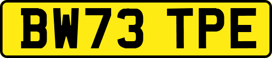 BW73TPE