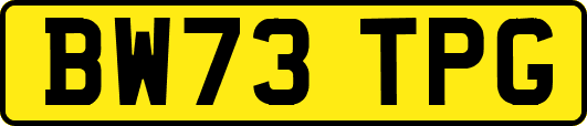 BW73TPG