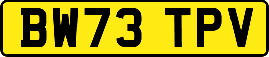 BW73TPV