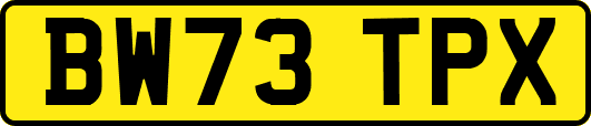 BW73TPX
