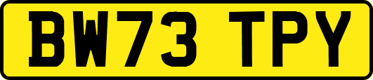 BW73TPY