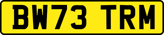 BW73TRM