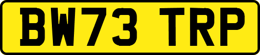 BW73TRP