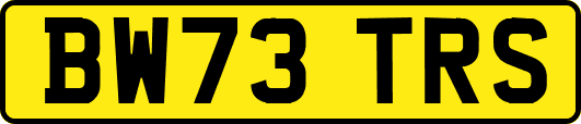 BW73TRS