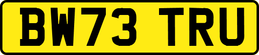 BW73TRU