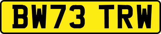 BW73TRW
