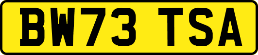 BW73TSA