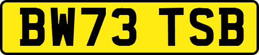 BW73TSB