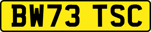 BW73TSC